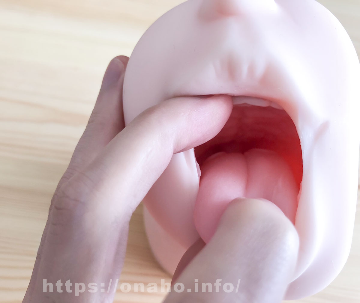 真実の口の口内写真