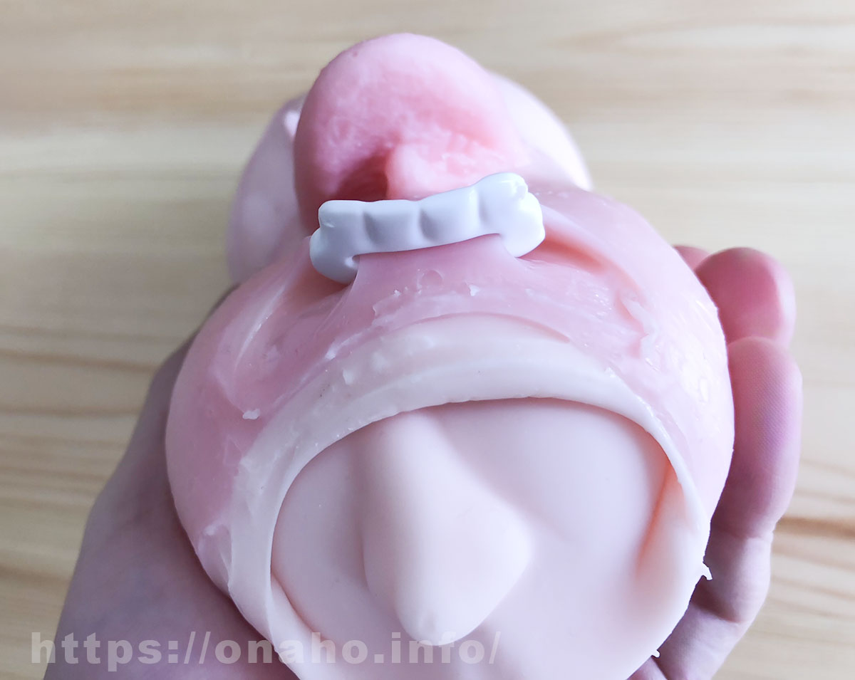 真実の口の上顎