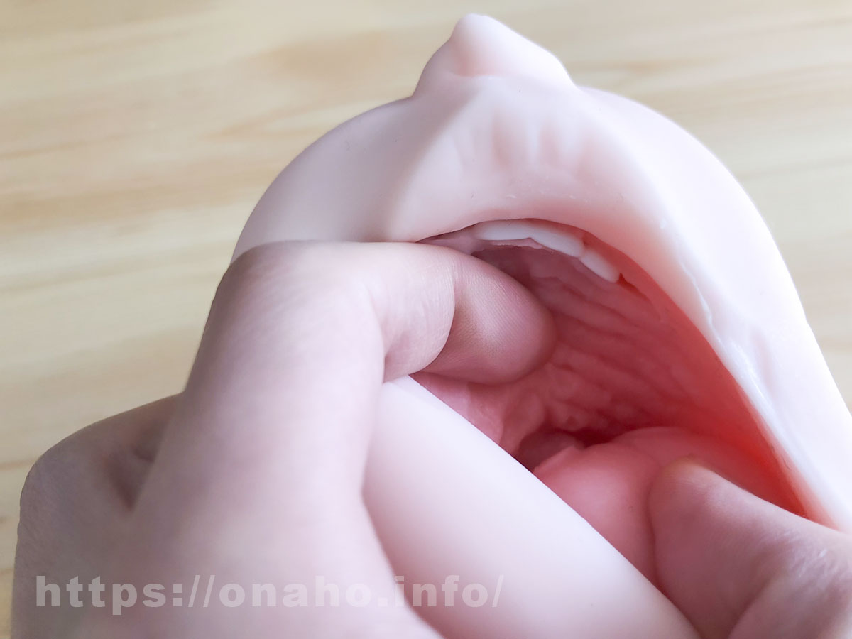 真実の口を開けさせた写真