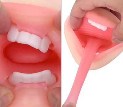 フェラチオ部分には歯やベロもちゃんとある!